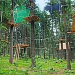 Honey Sankt Englmar